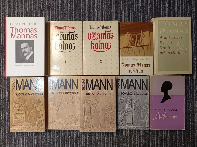 Thomas mann Juozapas ir jo broliai Užburtas kalnas Biografija