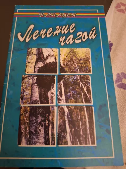 Gydymas beržo grybu