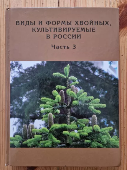 Vidy  formy hvoinyh , kultiviruemye v Rossii