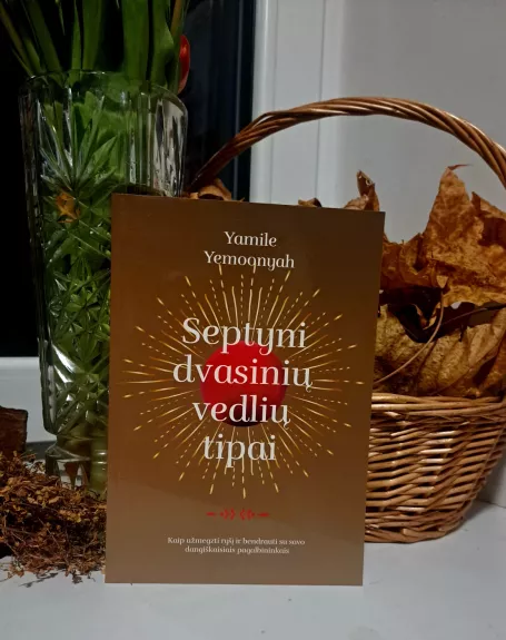 Septyni dvasinių vedlių tipai