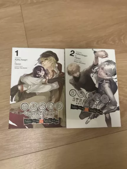 stray dogs another story