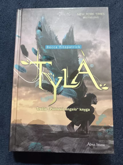 Tyla. Trečia ,,Puolusio angelo'' knyga