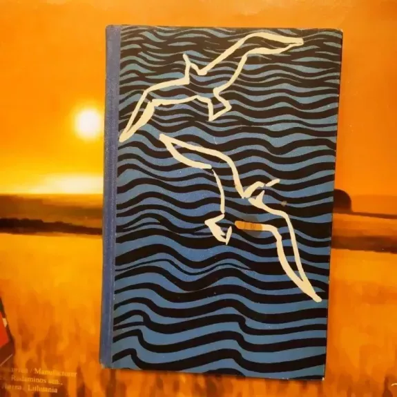 Perkūnas netrenkia į laivą