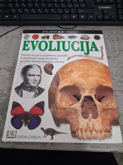 Žvilgsnis į pasaulį. Evoliucija