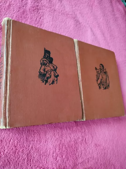 Don Kichotas (I-II dalys)