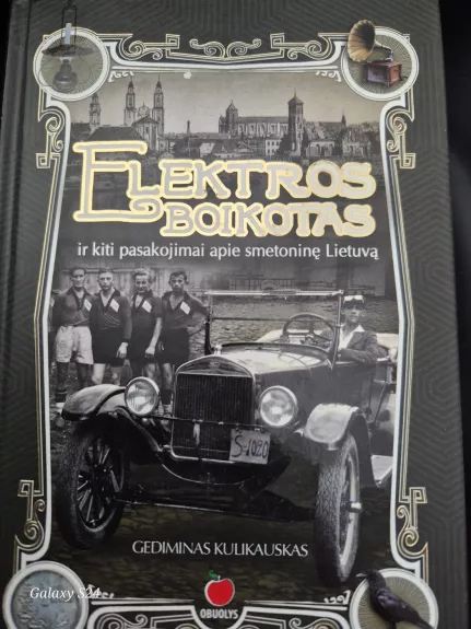 Elektros boikotas ir kiti pasakojimai apie smetotinę Lietuvą