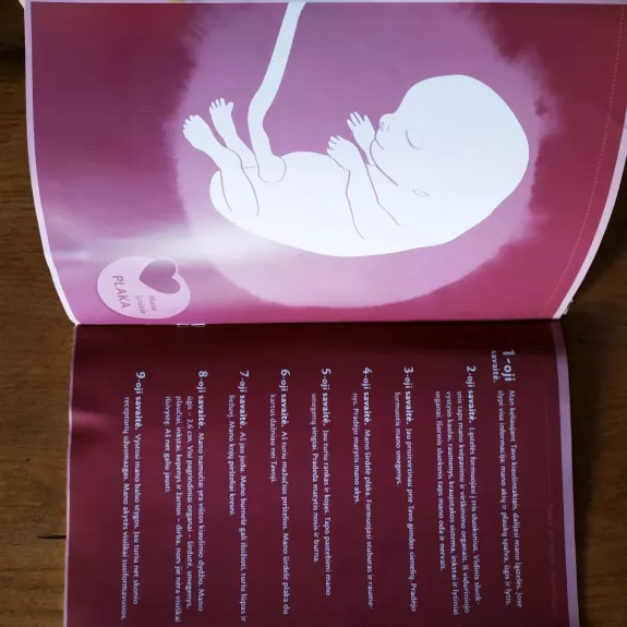 Mano pirmasis dienoraštis