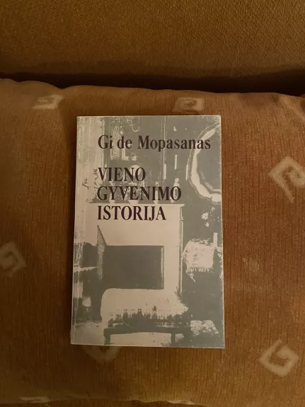 Vieno gyvenimo istorija