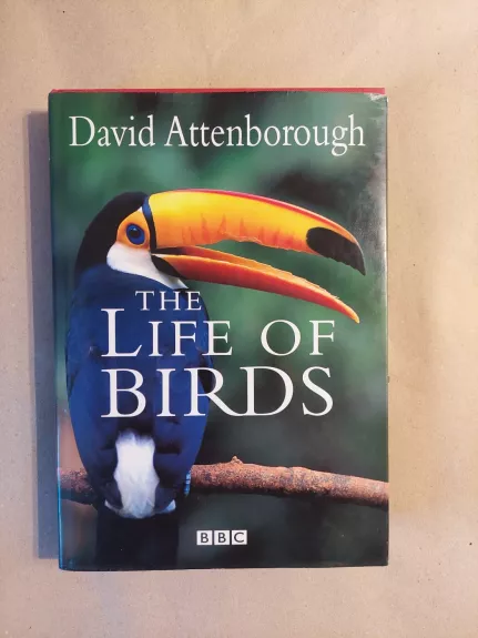 The Life of Birds