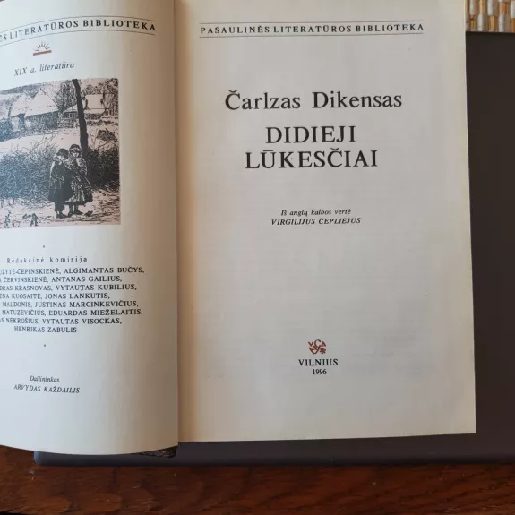 Didieji lūkesčiai (Pasaulinės literatūros biblioteka )