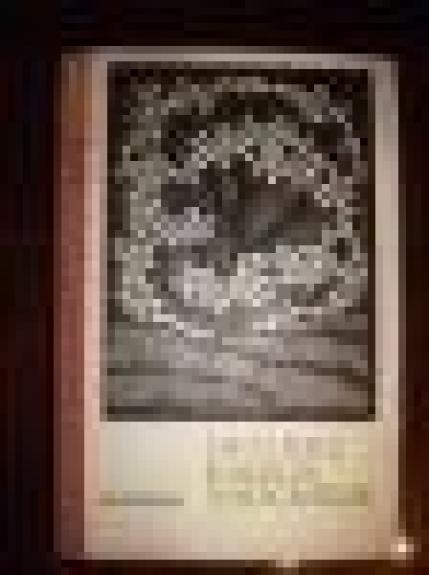 Lietuvių kalbos vadovėlis IX-XI klasei