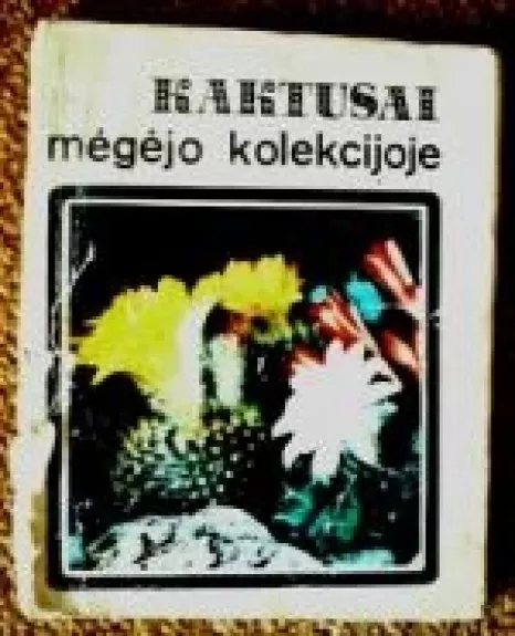 Kaktusai mėgėjo kolekcijoje