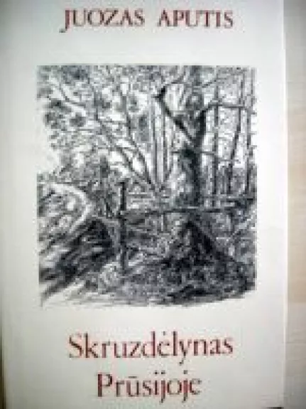 Skruzdėlynas Prūsijoje - Juozas Aputis, knyga