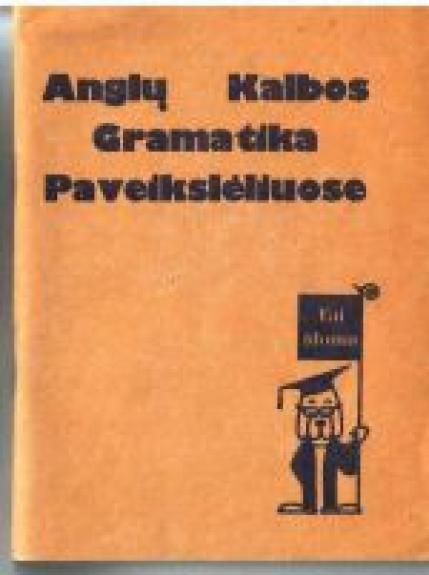 Anglų kalbos gramatika paveikslėliuose - Autorių Kolektyvas, knyga