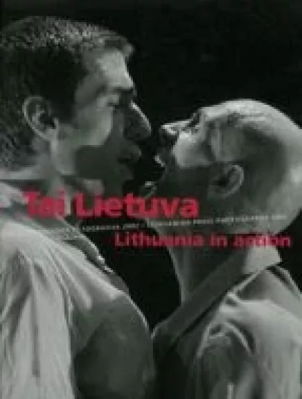 Lietuvos spaudos fotografija 2002