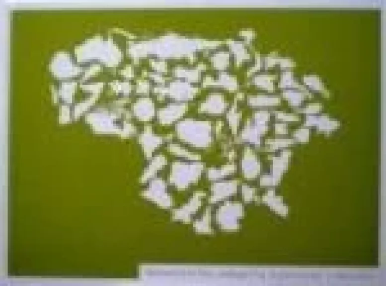 Nekasdieniška pabėgėlių kasdienybė Lietuvoje