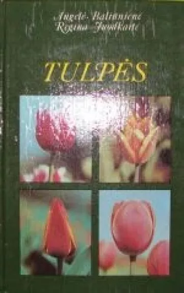 Tulpės