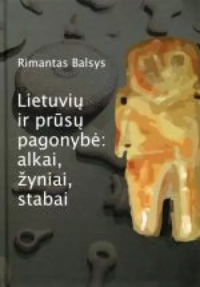 Lietuvių ir prūsų pagonybė: alkai, žyniai, stabai - Rimantas Balsys, knyga