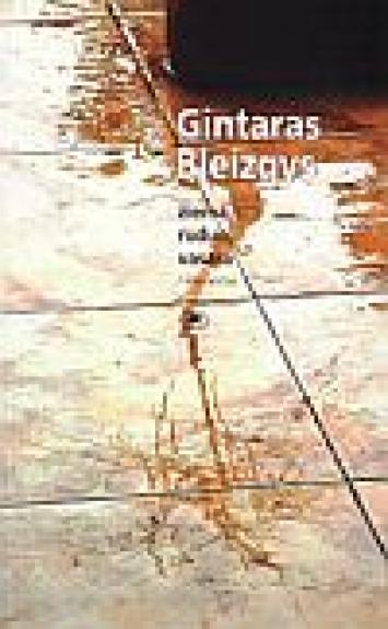 Žiema, ruduo, vasara: eilėraščiai - Gintaras Bleizgys, knyga