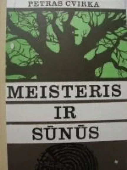 Meisteris ir sūnūs