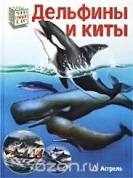 Дельфины и киты - Петра Даймер, knyga
