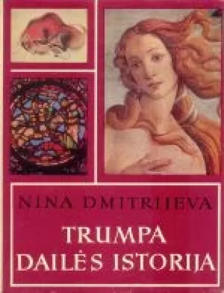 Trumpa dailės istorija - Nina Dmitrijeva, knyga