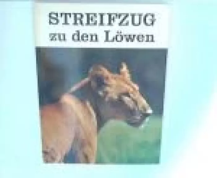 Streifzug zu den Löwen