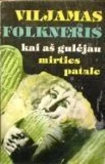 Kai aš gulėjau mirties patale - Viljamas Folkneris, knyga