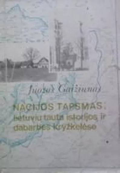 Nacijos tapsmas: lietuvių tauta istorijos ir dabarties kryžkelėse