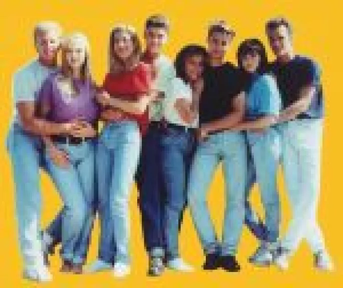 Beverly Hills 90210 Jokių Paslapčių - Mel Gilden, knyga