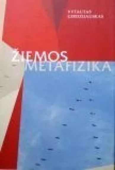 Žiemos metafizika - Vytautas Girdzijauskas, knyga