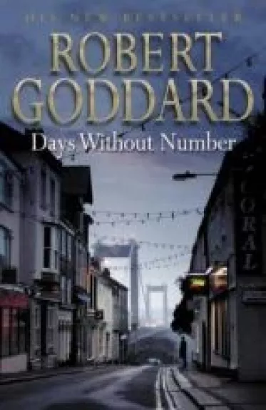 Days Without Number - Robert Goddard, knyga