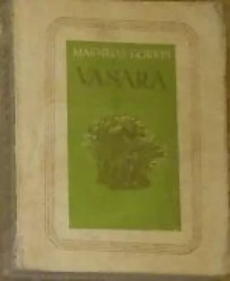 Vasara - Maksimas Gorkis, knyga