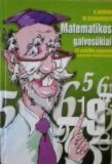 Matematikos galvosūkiai - H. Hemme, M.  Schwoerer, knyga