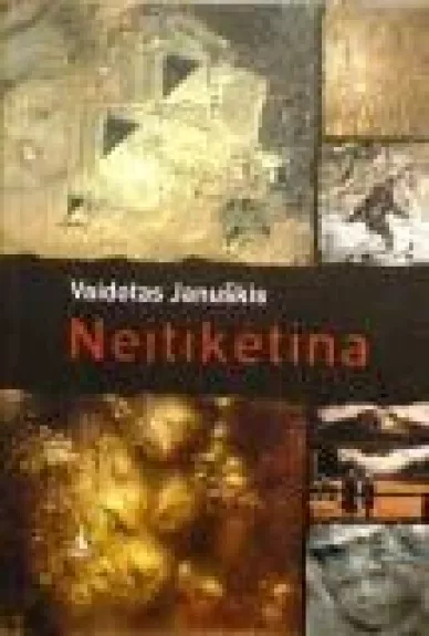 Neįtikėtina - Vaidotas Januškis, knyga