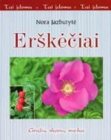 Erškėčiai - Nora Jazbutytė, knyga