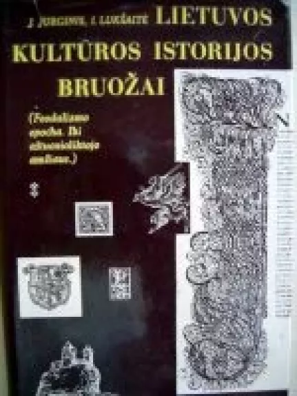 Lietuvos kultūros istorijos bruožai - J. Jurginis, knyga