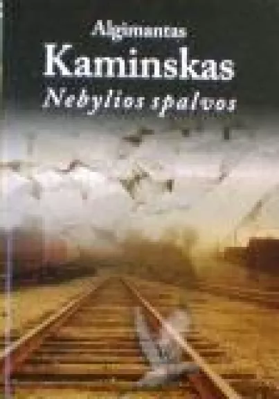 Nebylios spalvos - Algimantas Kaminskas, knyga