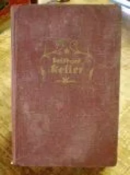 Martin Salander - Gottfried Keller, knyga