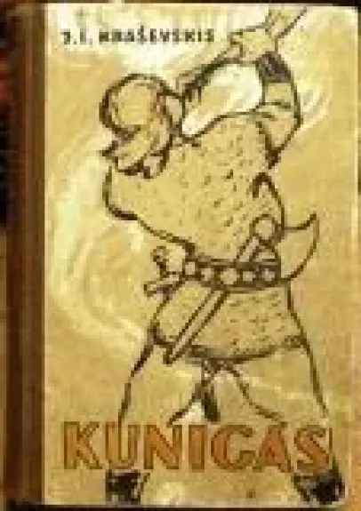 Kunigas - J.I. Kraševskis, knyga