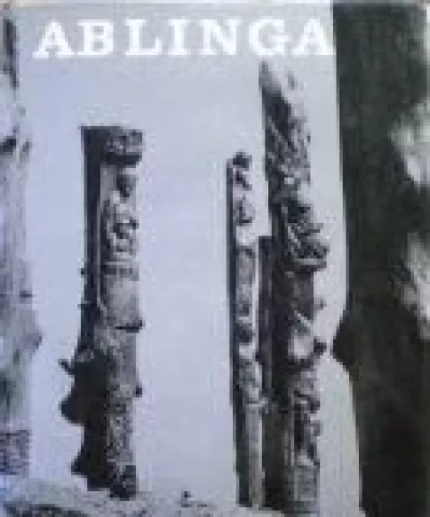 Ablinga - Algimantas Kunčius, knyga