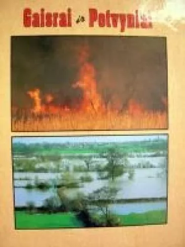 Gaisrai ir potvyniai - David Lambert, knyga