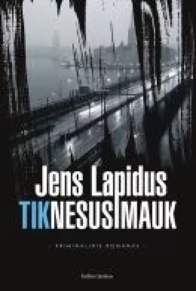 Tik nesusimauk - Jens Lapidus, knyga