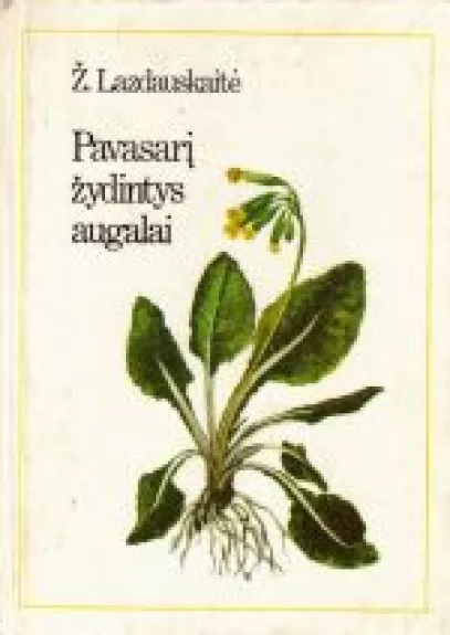 Pavasarį žydintys augalai - Živilė Lazdauskaitė, knyga