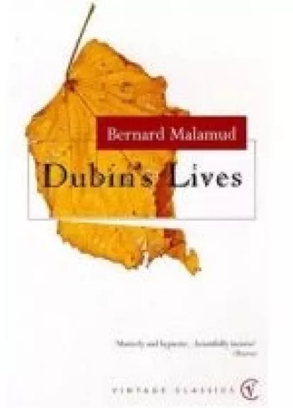 Dubin's Lives - bernard Malamud, knyga