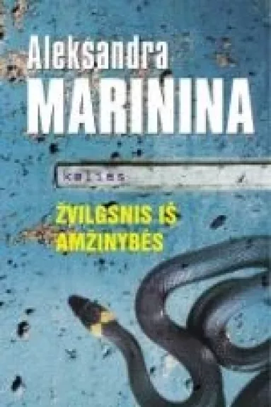 Žvilgsnis iš amžinybės. Kelias - Aleksandra Marinina, knyga