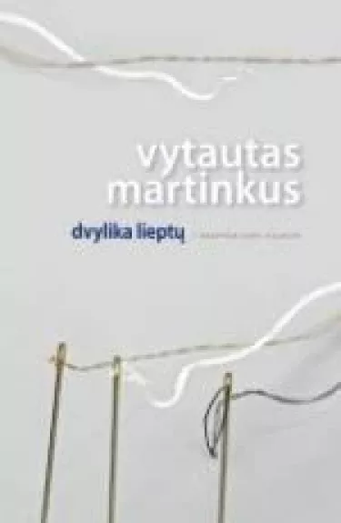 Dvylika lieptų. Kalendorinės novelės - Vytautas Martinkus, knyga