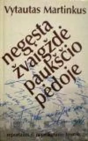 Negęsta žvaigždė paukščio pėdoje - Vytautas Martinkus, knyga