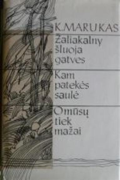 Žaliakalny šluoja gatves. Kam patekės saulė. O mūsų tiek mažai