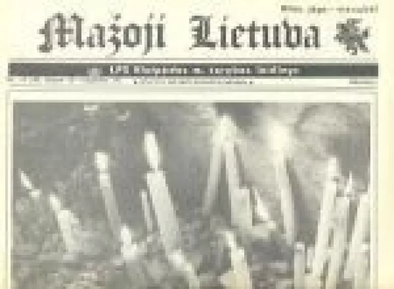 Mažoji Lietuva, 1989 m., Nr. 17 - Autorių Kolektyvas, knyga